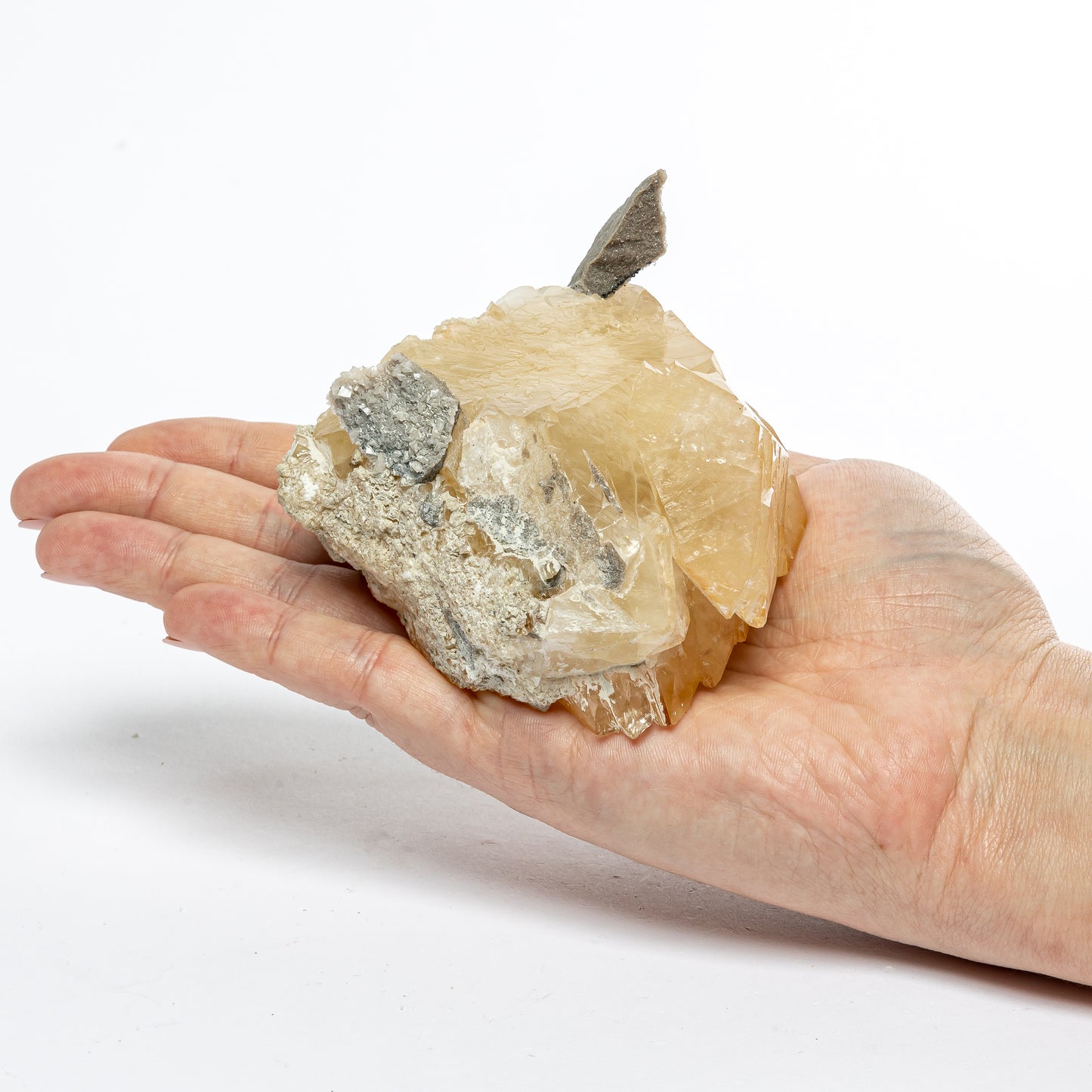 Elmwood Stellar Beam Calcite