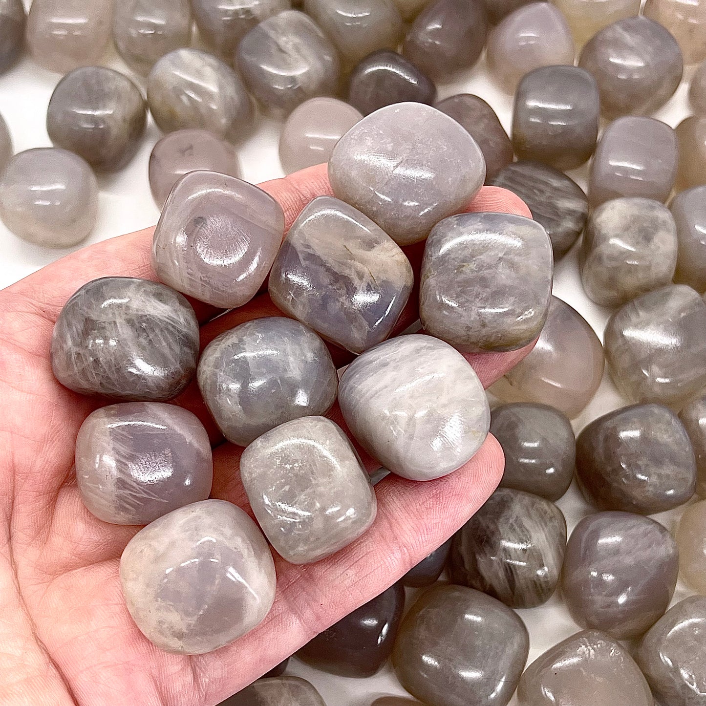 Blue Rose Quartz Tumble