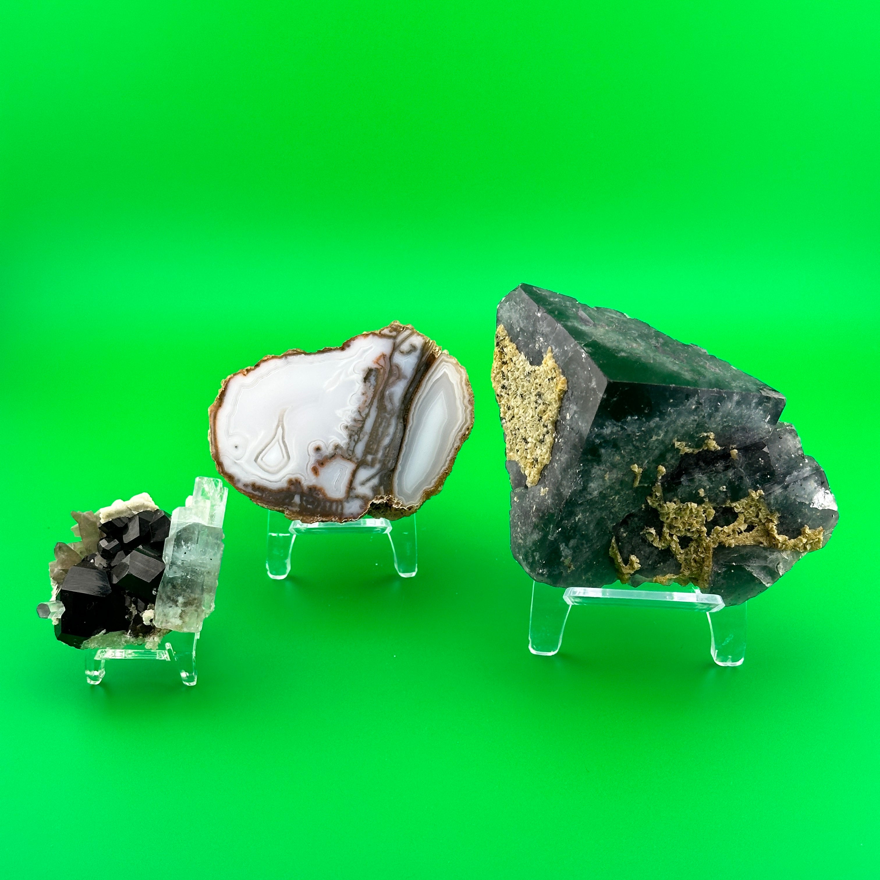 Display Stands