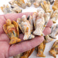 Crazy Lace Agate Pocket Angel