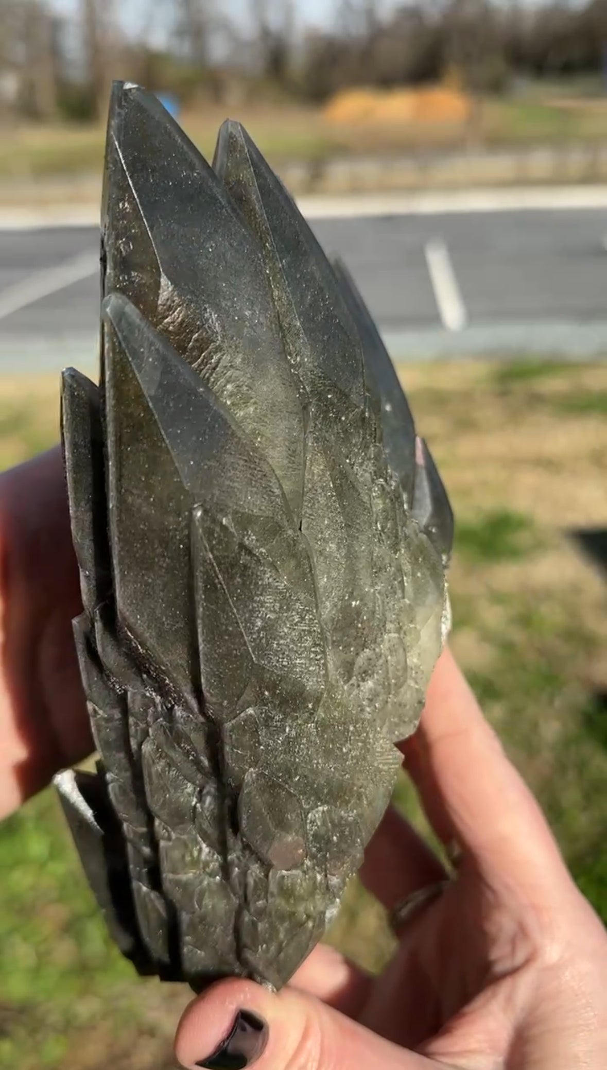 Dragon Scale Calcite