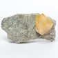 Elmwood Stellar Beam Calcite Specimen