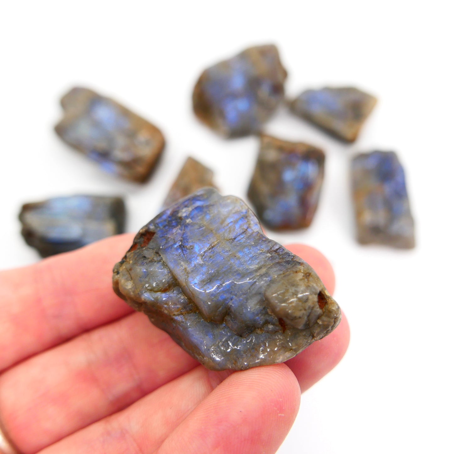 Blue Flash Wisconsin Moonstone
