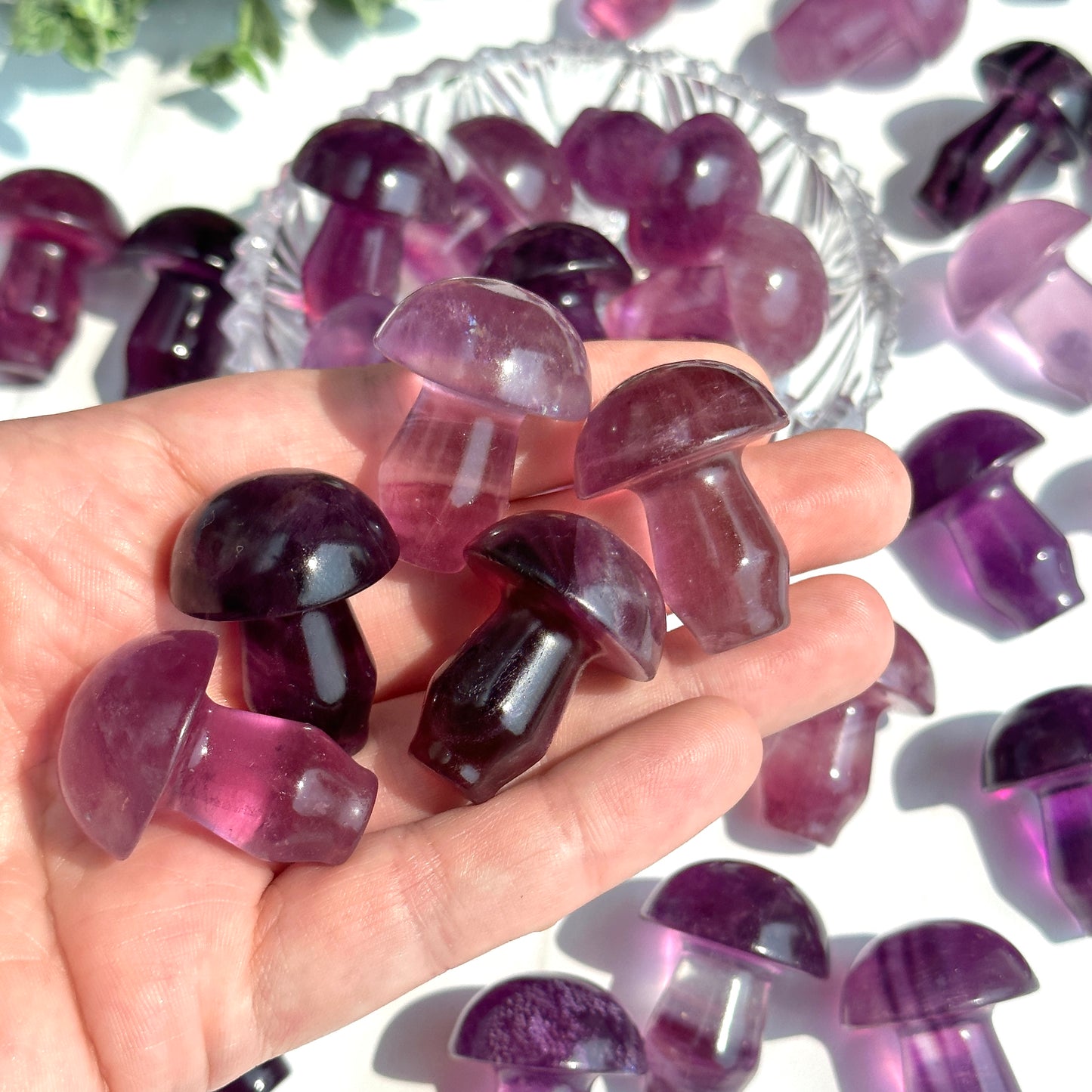 Fluorite Mushroom