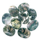 Moss Agate Worry Stone